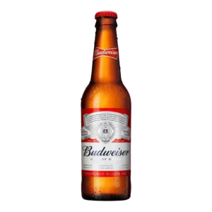 budweiser beer